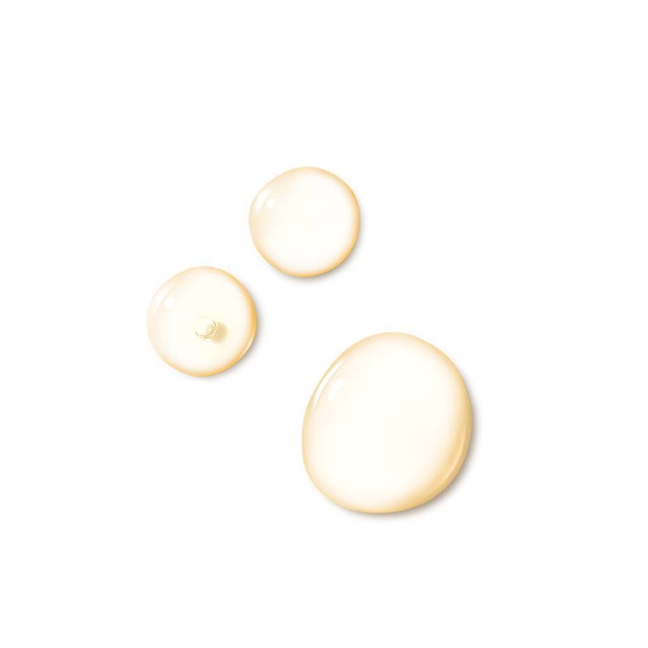 PHLORETIN CF® WITH FERULIC ACID
